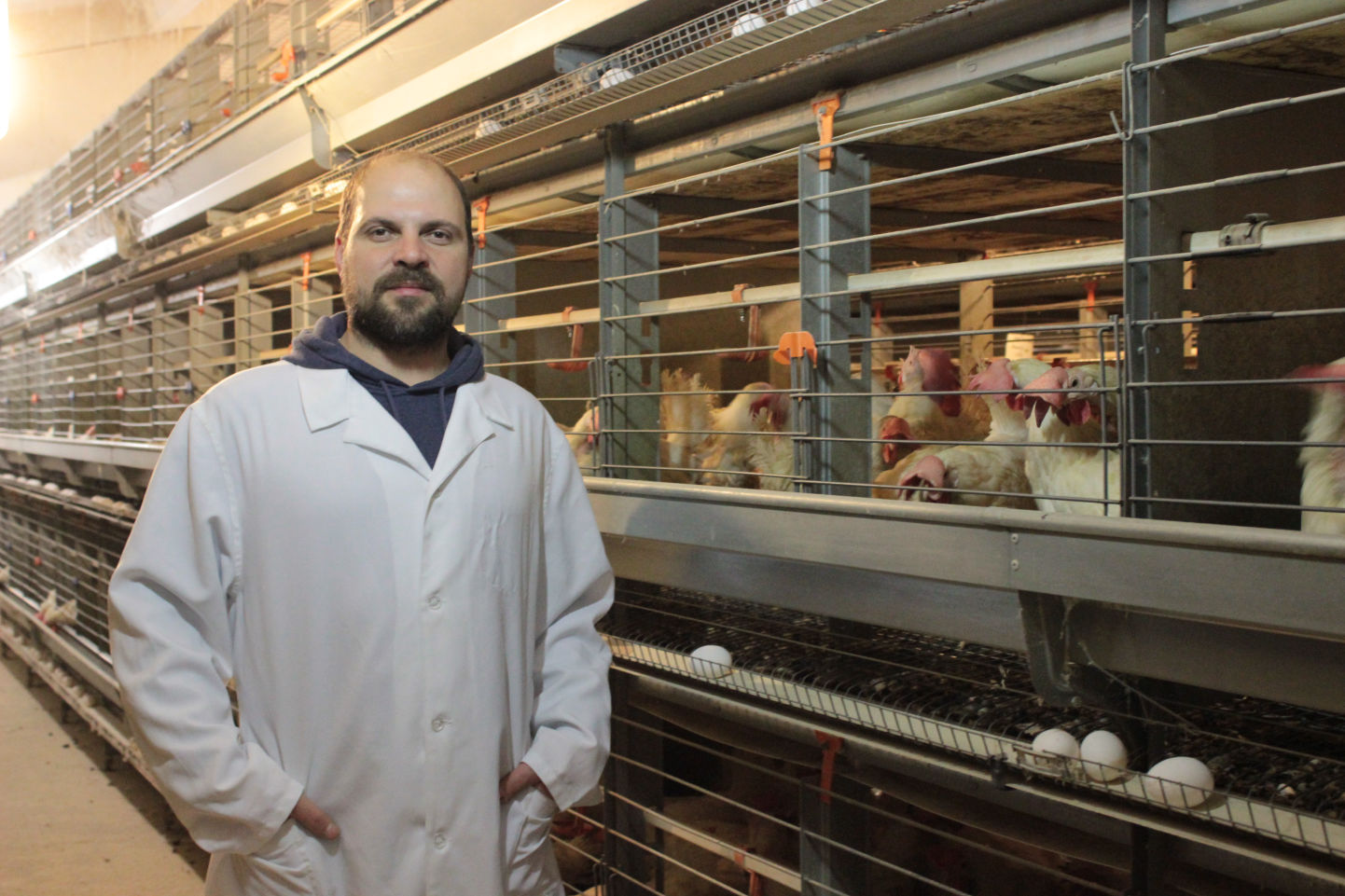 Simple Bootstrap Theme 